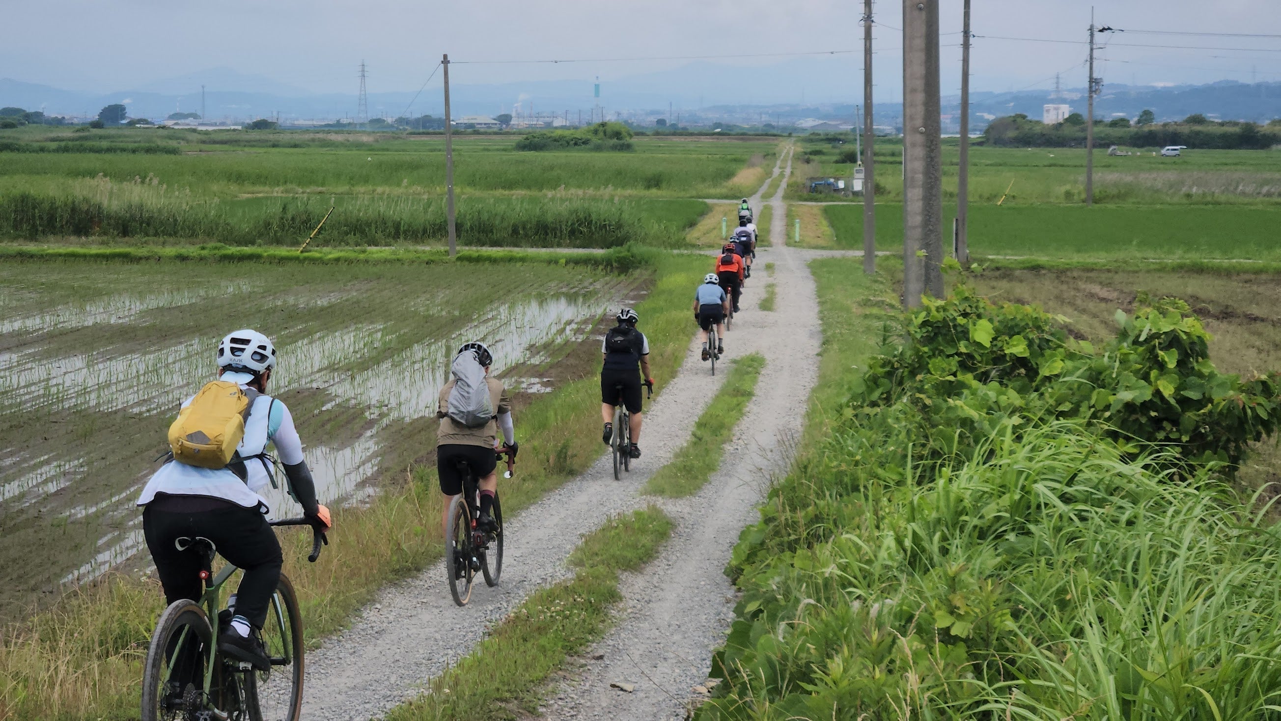 初夏の水田の間を一列で走る参加者（千本浜＆岳南の水田グラベルライド）
