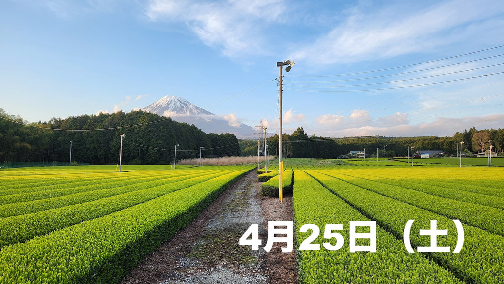 アドベン茶ー！グラベルライド