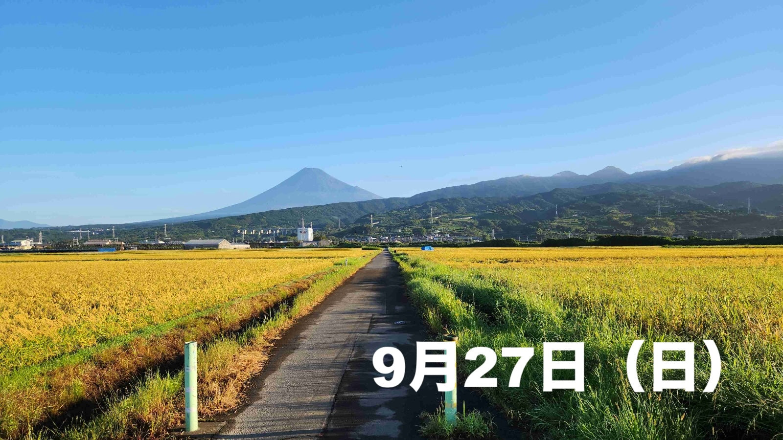 岳南の稲穂グラベルライド
