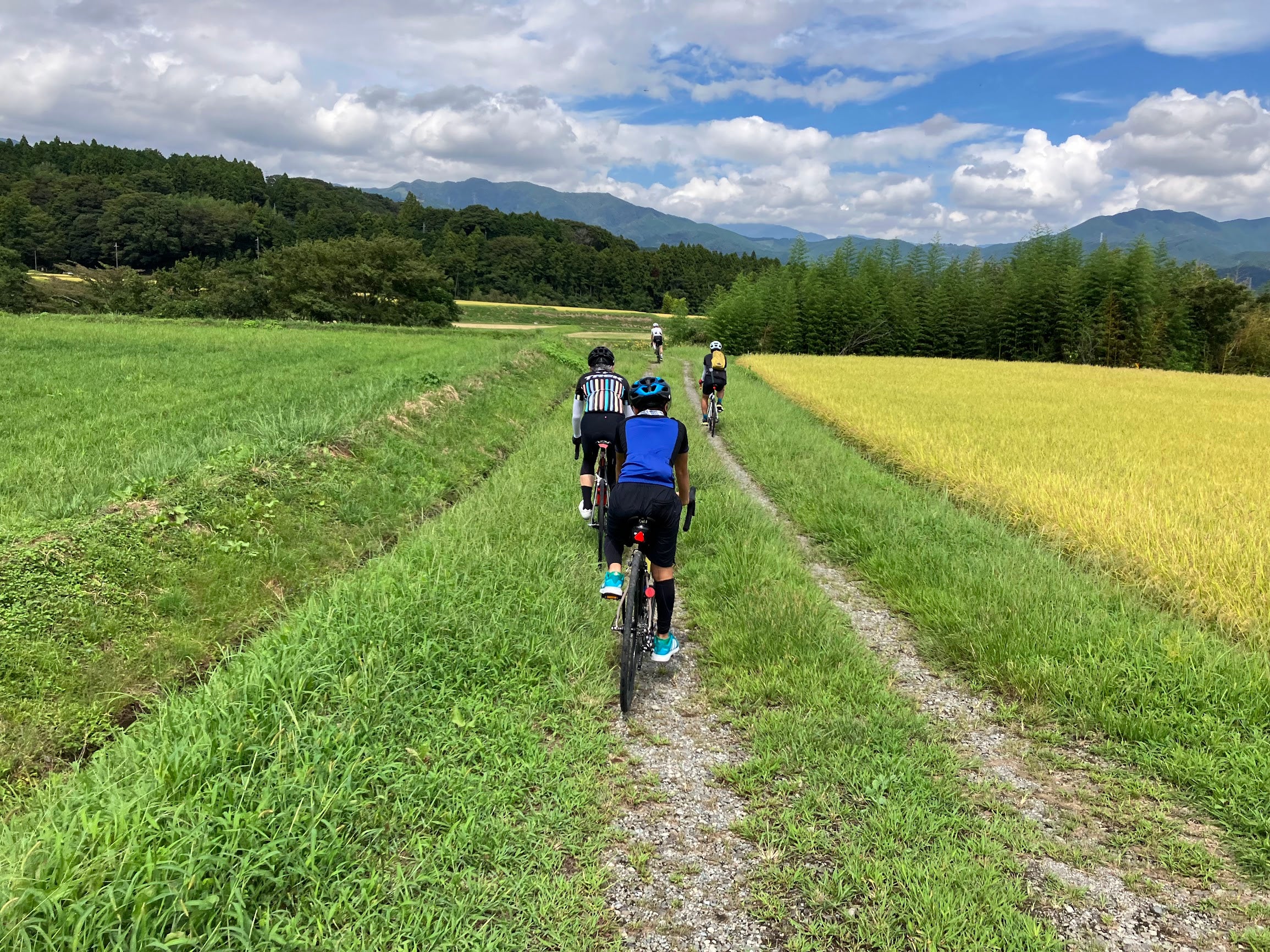 岳南の稲穂グラベルライド