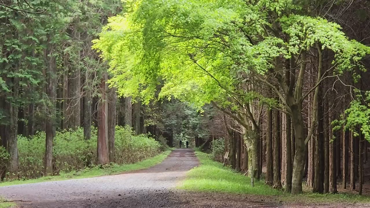 富士グラベルライド背景動画